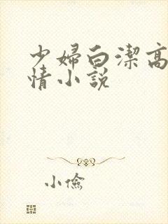 少妇白洁高义激情小说