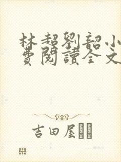 林超刘韶小说免费阅读全文最新章节