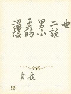 温柔男二也要被爆的小说