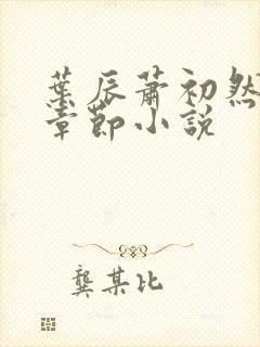 叶辰萧初然最新章节小说封面