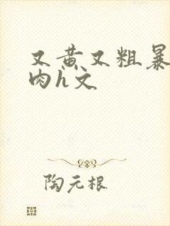 又黄又粗暴的纯肉h文