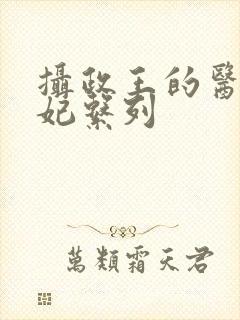 摄政王的医品狂妃系列封面