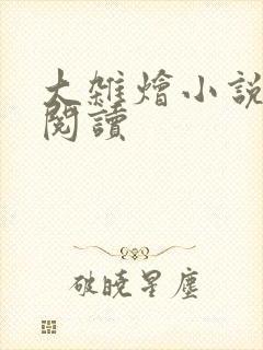 大杂烩小说全集阅读