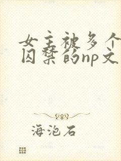 女主被多个男主囚禁的np文
