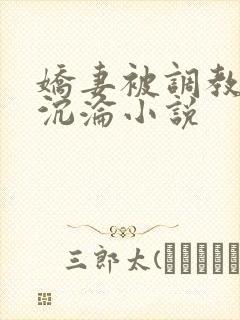 娇妻被调教开发沉沦小说