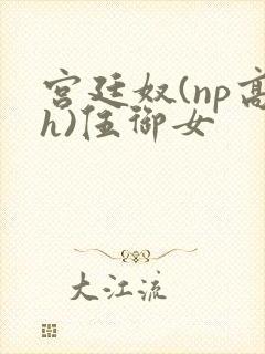 宫廷奴(np高h)伍御女