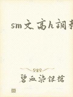 sm文高h调教