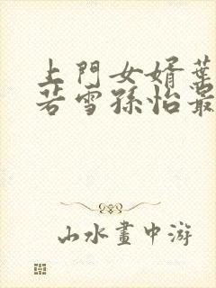 上门女婿叶辰夏若雪孙怡最新章节