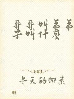 哥哥叫弟弟的儿子叫什么