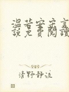 温若安宋言津小说免费阅读最新章节