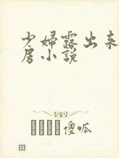 少妇露出来大乳房小说