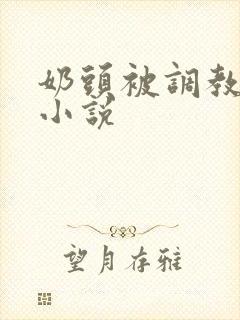 奶头被调教大的小说