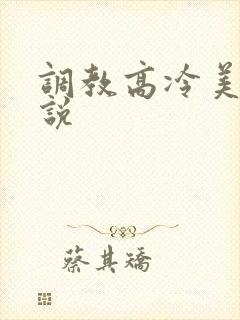 调教高冷美女小说封面
