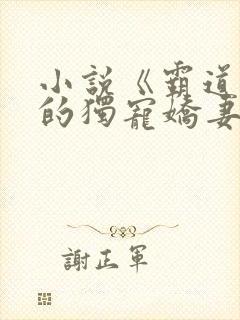 小说《霸道总裁的独宠娇妻》封面