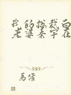 我的总裁白富美老婆秦宇在线小说免费