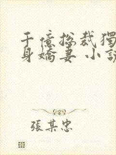 千亿总裁独宠替身娇妻 小说完整