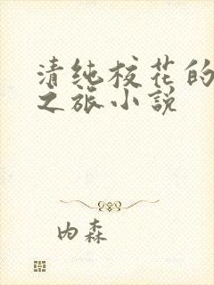 清纯校花的堕落之旅小说
