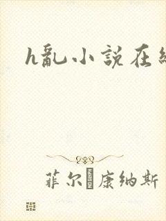 h乱小说在线封面