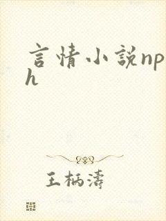 言情小说np高h