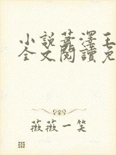 小说萧泽王雪凤全文阅读免费