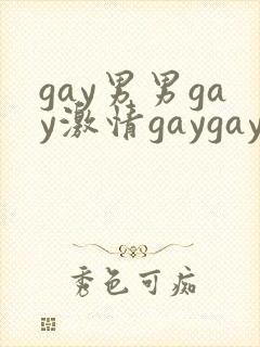 gay男男gay激情gaygay