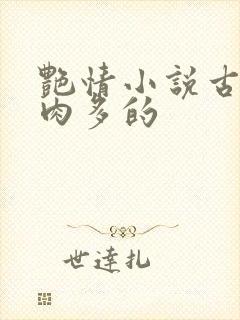 艳情小说古言肉肉多的