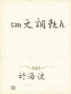 sm文调教h