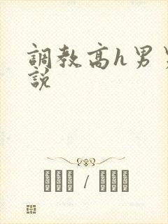 调教高h男男小说封面