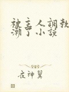 被主人调教到高潮了小说