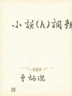 小说(h)调教