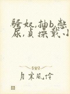 骚奴,抽b,憋尿,贞操戴小说女