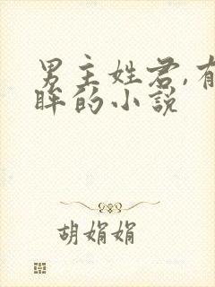 男主姓君,有紫眸的小说