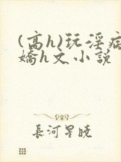 (高h)玩淫病娇h文小说封面