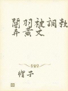 关羽被调教h玩弄黄文