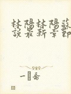 林阳林阳苏颜小说最新章节