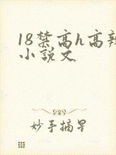 18禁高h高辣小说文