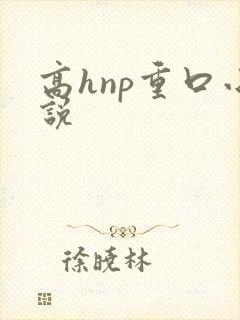 高hnp重口小说