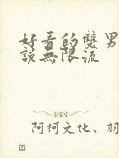 好看的双男主小说无限流