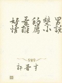 好看的双男主言情推荐小说