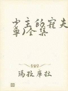 少主的宠夫(女尊)全集