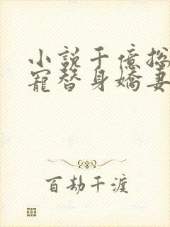 小说千亿总裁独宠替身娇妻完整版未删减小说