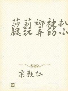 莎莉娜被扒开双腿玩弄的小说封面