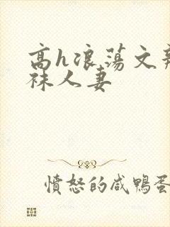 高h浪荡文辣丝袜人妻封面