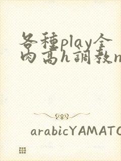 各种play全肉高h调教np