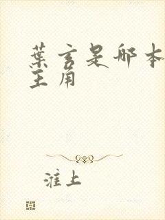 叶玄是哪本小说主角封面