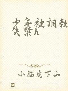 少年被调教爽到失禁h