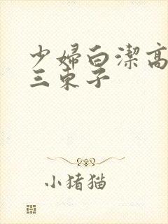 少妇白洁高义陈三东子