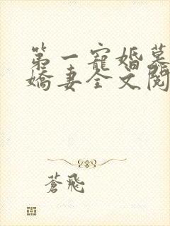 第一宠婚慕少的娇妻全文阅读