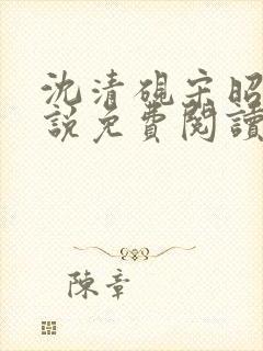 沈清砚宋昭汐小说免费阅读最新章节封面