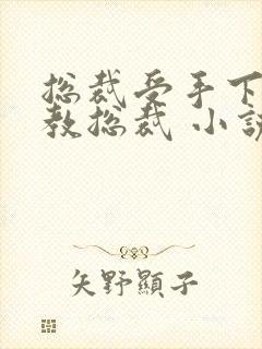 总裁受手下攻调教总裁 小说封面